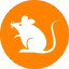 How to Buy rats-(Ordinals) (rats)
